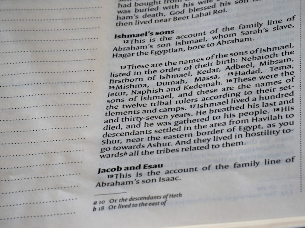 扶養控除の仕組みと活用法｜2025年税制改正と特定親族特別控除