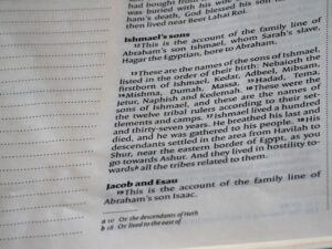 扶養控除の仕組みと活用法｜2025年税制改正と特定親族特別控除